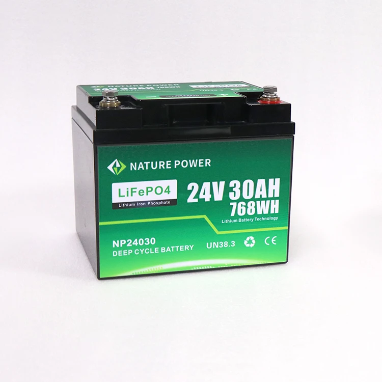 NATURE POWER Deep Cycle Lithium-Ion Battery with BMS 24v 30Ah Car Cranking Battery Lifepo4