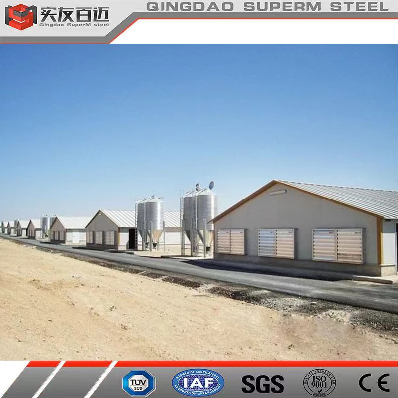 Cheap Price Prefabricated Light Steel Construction Building Steel Structure Poultry Farm Broiler Chicken House