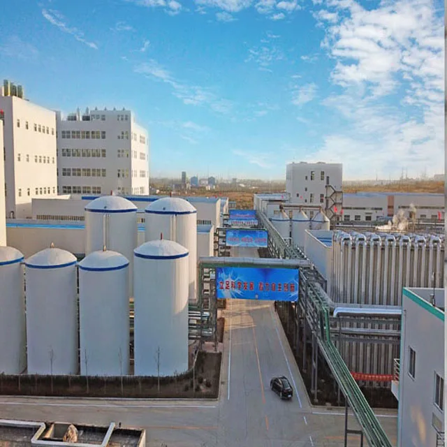 CAS: 127-09-3 Best Quality Sodium Acetate Anhydrous