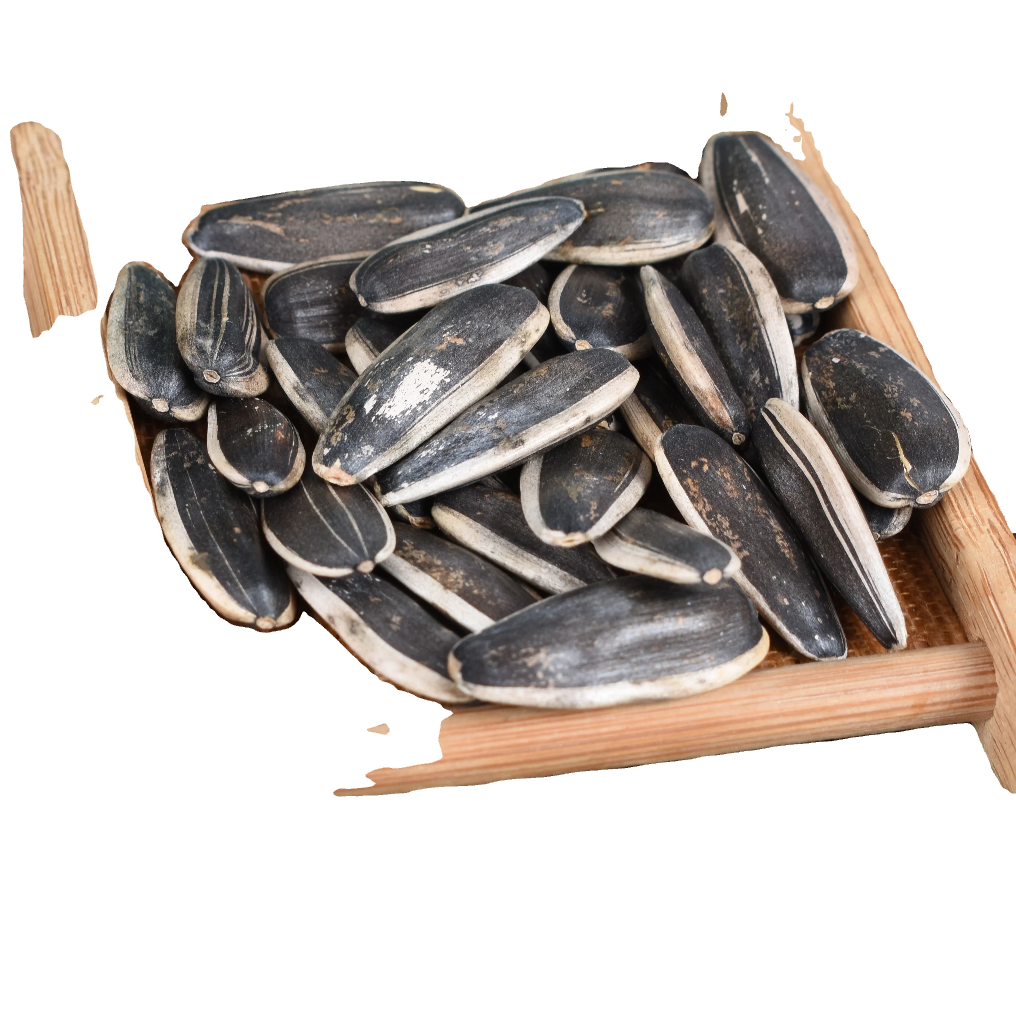 Sunflower Seeds Black With White Stripe 361 363 601