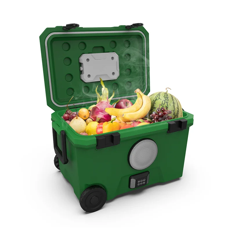 New Arrival portable speaker radio leakproof portable cooler box for  travel