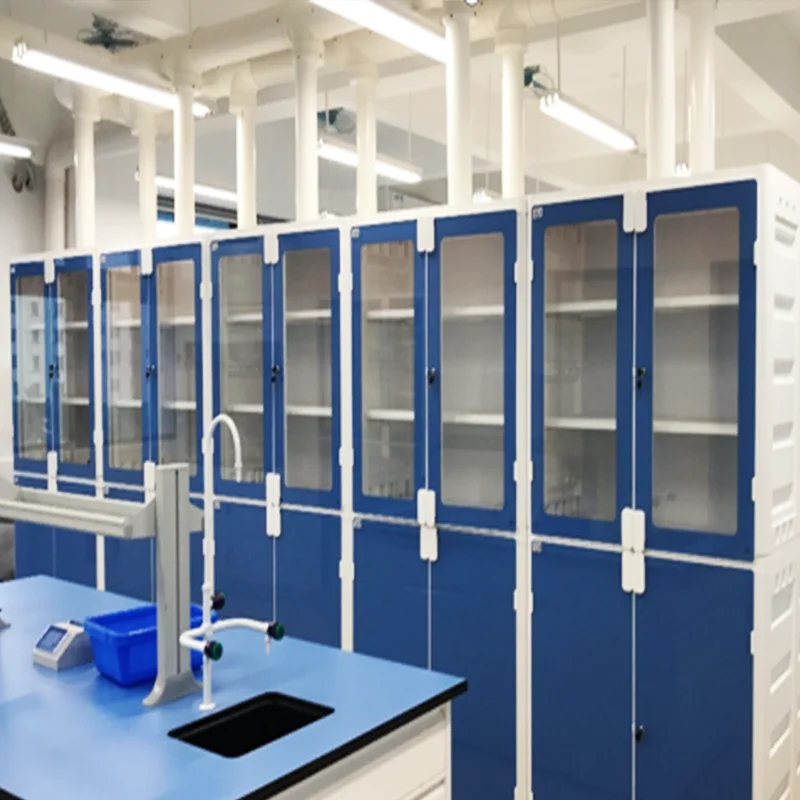Custom Modern Design Biological laboratory storage cabinet Laboratory Furniture