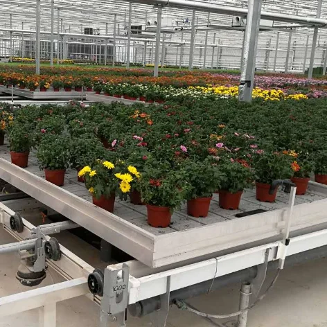 Easily Seedbed Planting Assembled Adjustable Abs Ebb And Flow Seedbed Hydroponic Planter Growing Table Rolling Bench