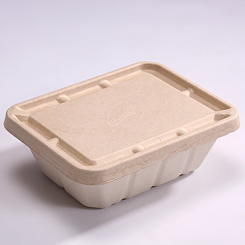 Eco friendly disposable bagasse dinnerware sets biodegradable packaging for food
