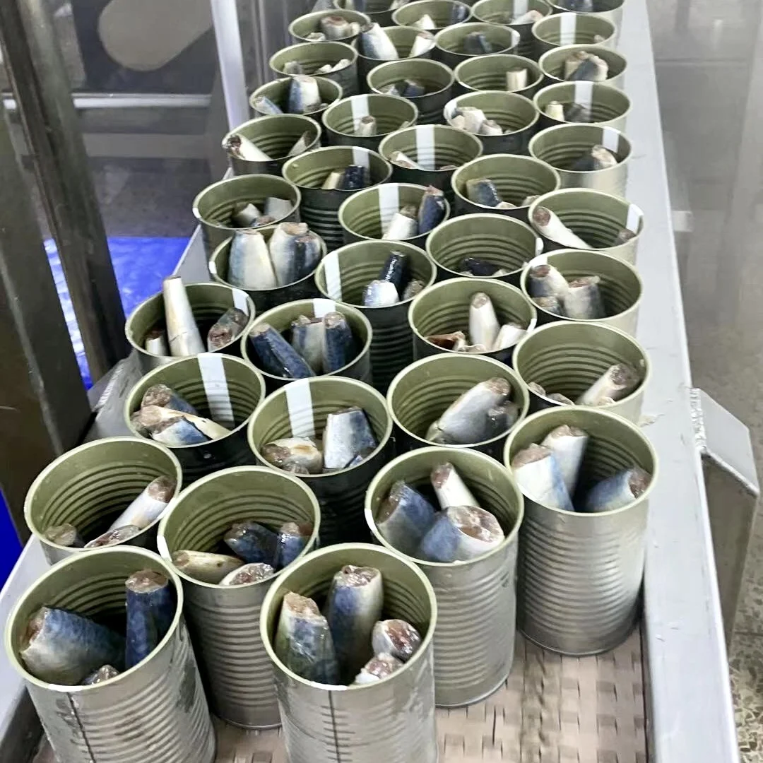 
Best quality canned sardines fish from morocco in vegetable oil 125g 