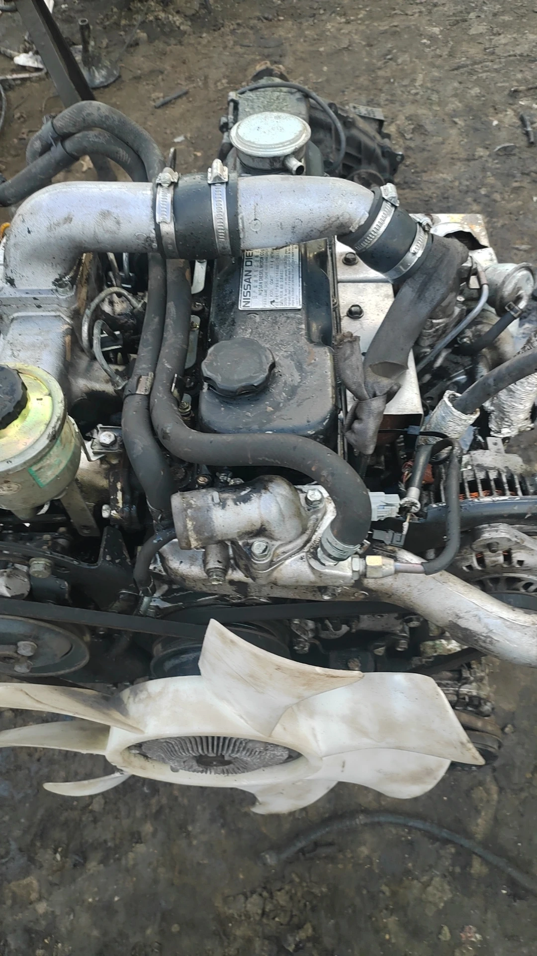 Dependable Quality qd32 Used Engine for ni ssan With fast shipping