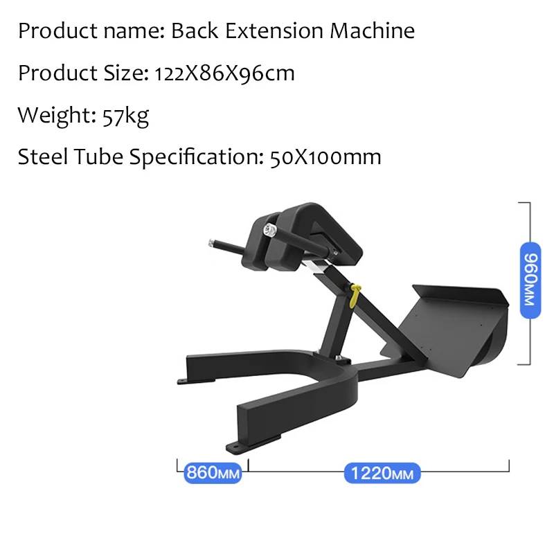 Hot sale Commercial strength machine fitness gym equipment Back Extension for gym center with best price in Chiha