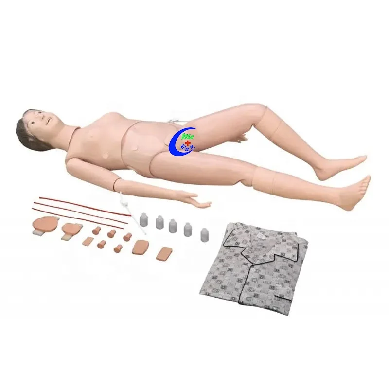 Medical Dummy Training Model Female Male Nurse Training Manikin Multifunctional Nursing Training Doll