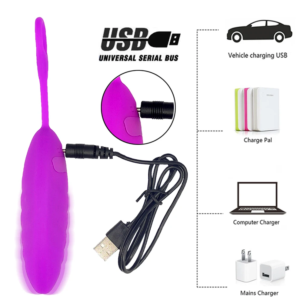 
USB Rechargeable 10 Speeds Vibration Vagina And Clitoris Stimulation Remote Wireless Wearable Vibrator 