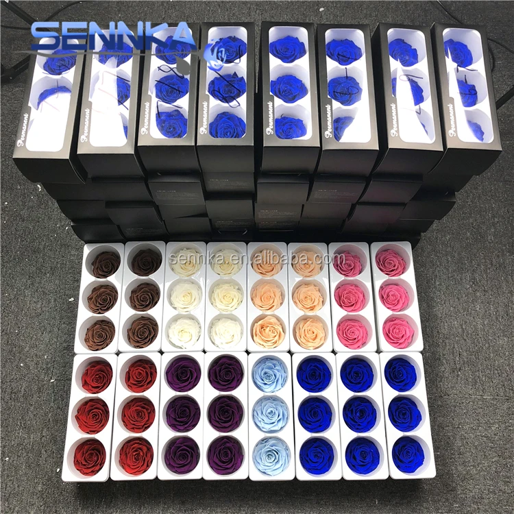 Preserved Real Flowers Natural Fresh Rose head