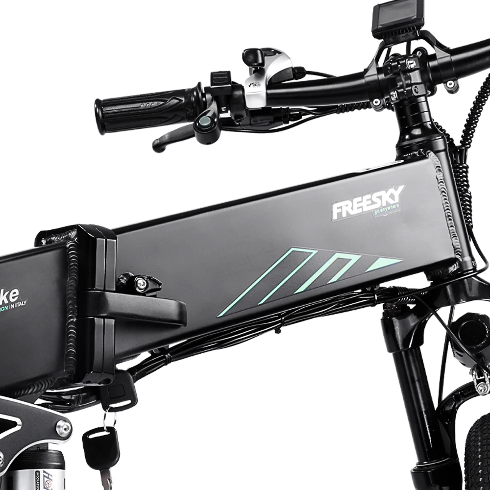 
F-2500E 250W 48V Snow Beach Removable Lithium Battery Dual Disc Brakes Folding Electric Bikes for Adults 