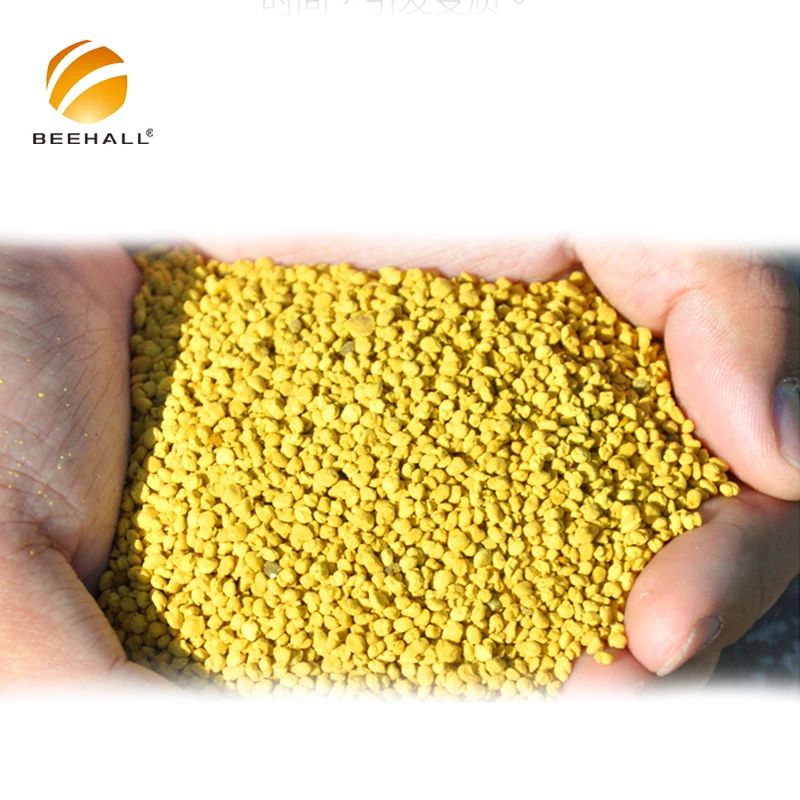 BEEHALL Health Food Supplier HACCP GMP Wholesale Rape Bee Pollen