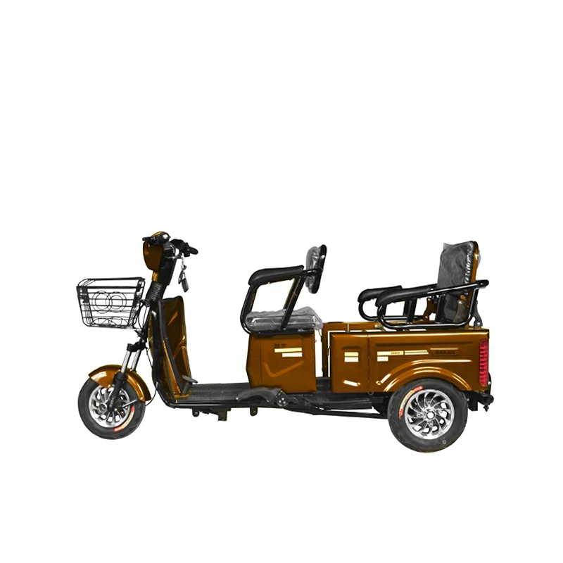 Factory Wholesale Adult Tricycle  Multi Function Passenger And Cargo Three Wheel Electric Tricycle