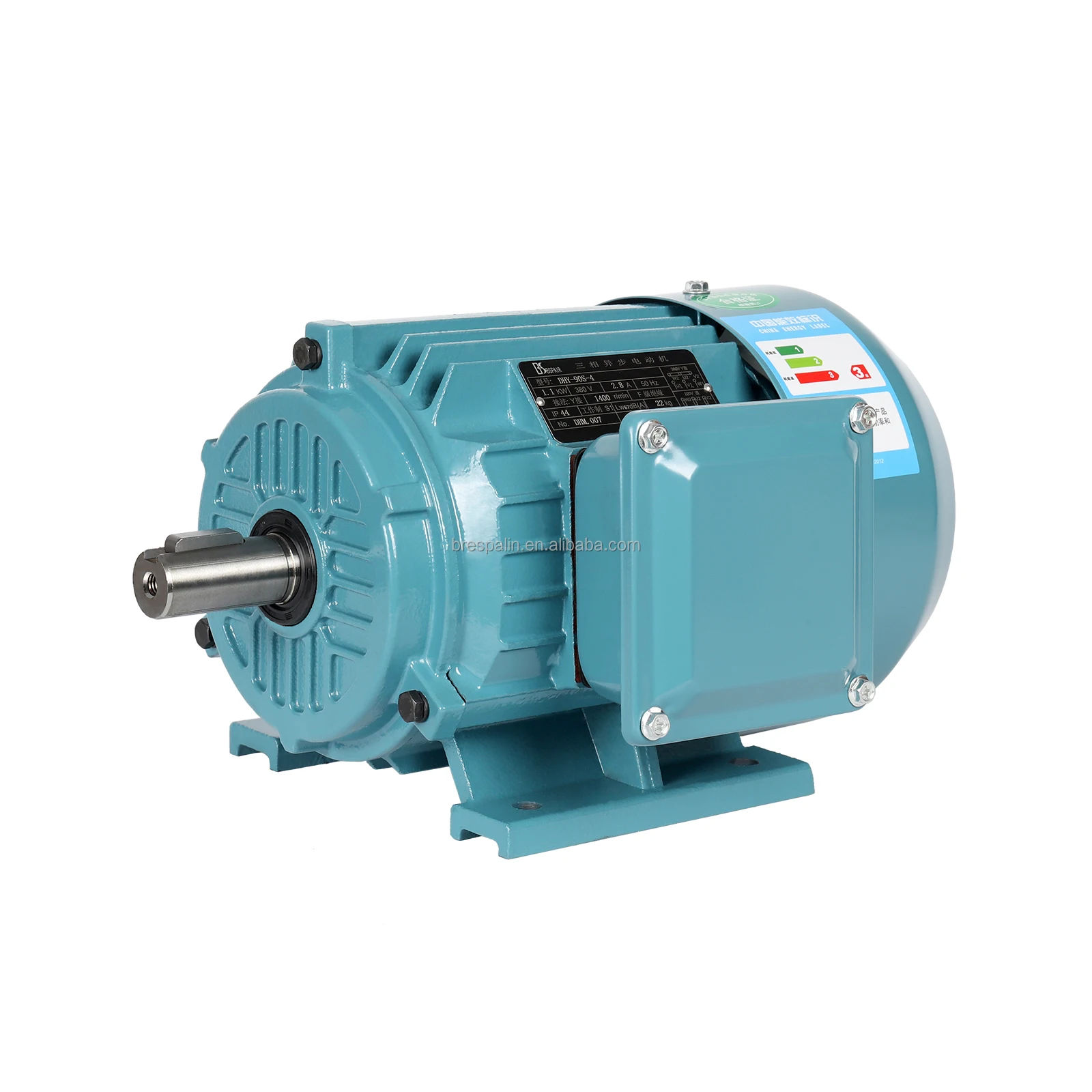 Cast Iron Totally Enclosed Three-Phase Induction Motor Induction AC Electric Motor IP44 IP55