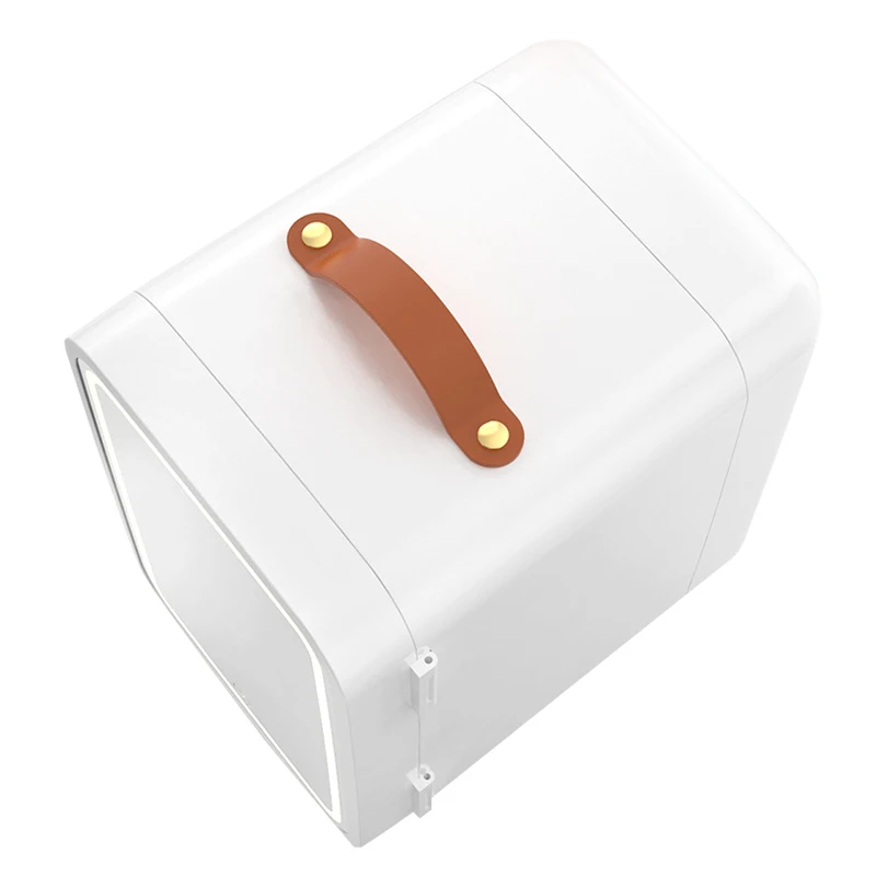 Mini Refrigerator 8L LED Light Thermoelectric Cooler Personal Beauty Fridge With Mirrored Door