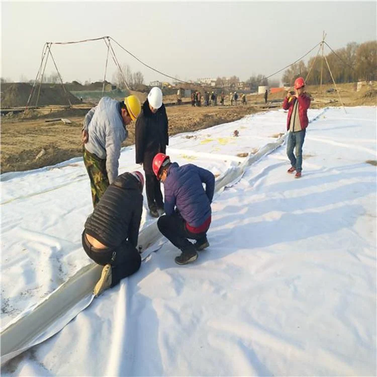 Wholesale price pp geo textile staple fiber nonwoven geotextile drainage fabric 700gsm membrane durable unfading