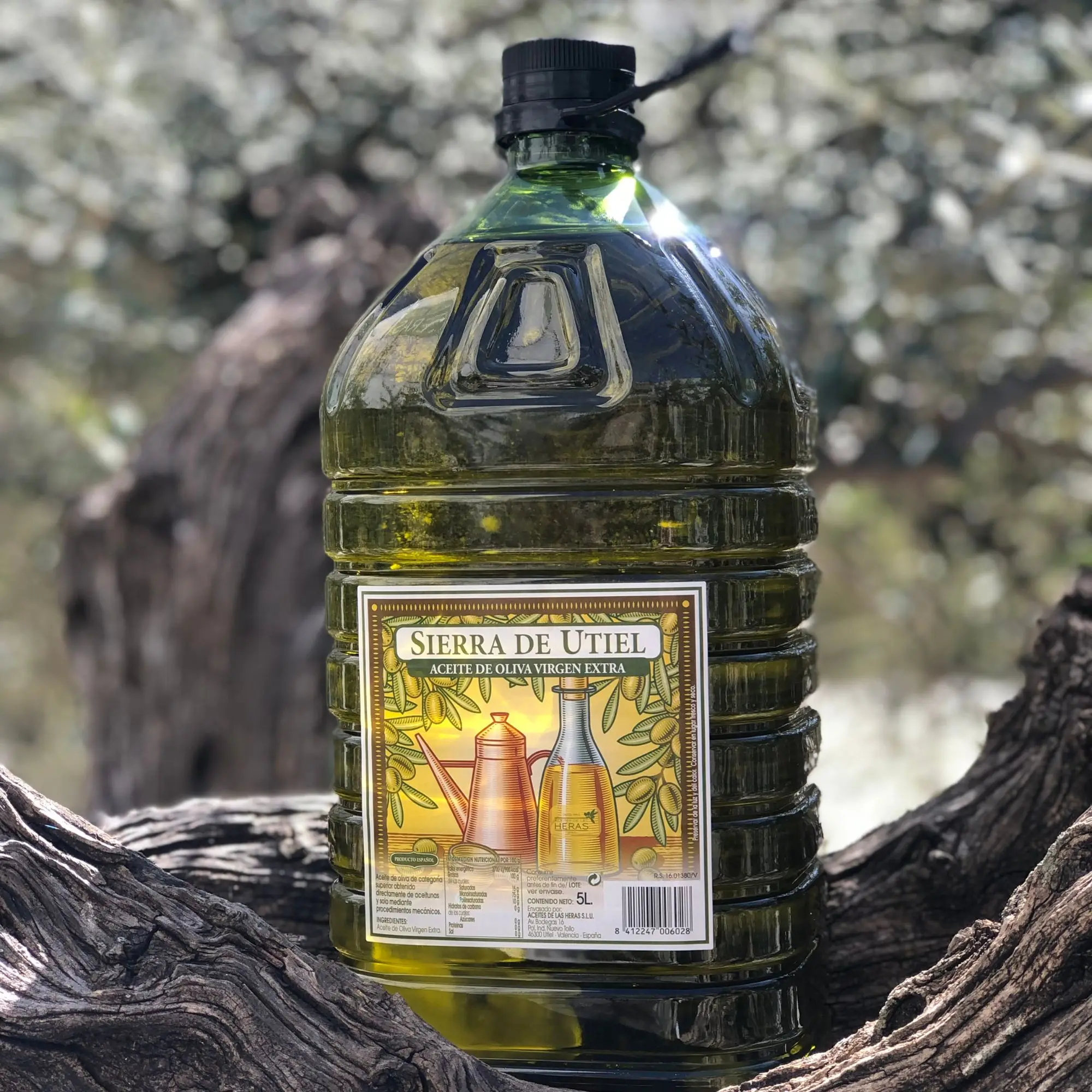 Sierra de Utiel, Extra Virgin Olive Oil 5 liter PET bottle, first cold pressed Spanish Olive Oil