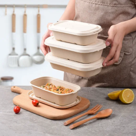 Disposable Takeout Tableware Sugarcane Bagasse Bowl For Picnics Parties