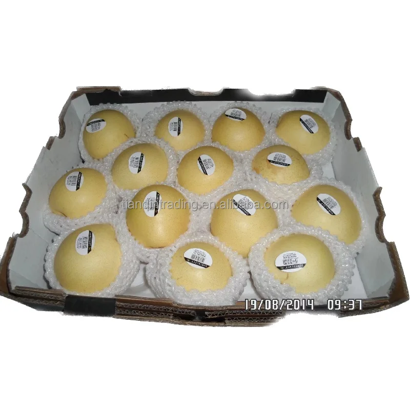 fresh Golden Pear of new crop with factory price with GAP certificate