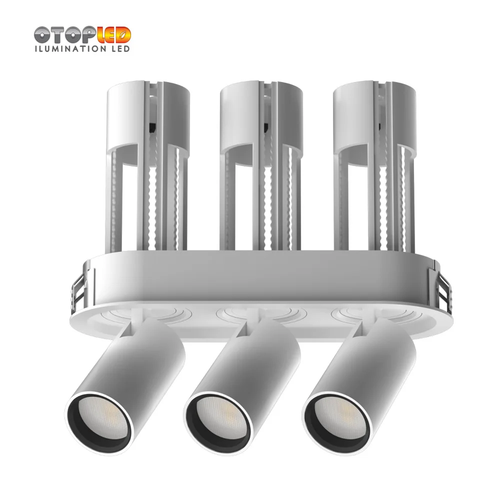 12W Double Rectangular Adjustable Downlight 2019 Hotsale Design for High-grade Place Decoration