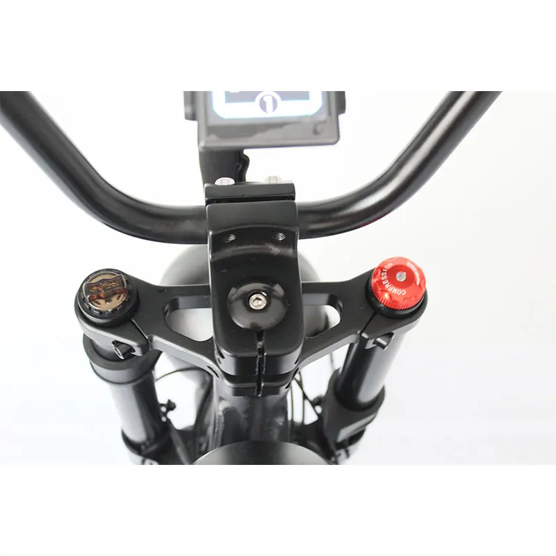 Factory Wholesale New Style 750w Motor All Terrain Mountain Electric Bicycles Cool Mountain e Bikes For Adult