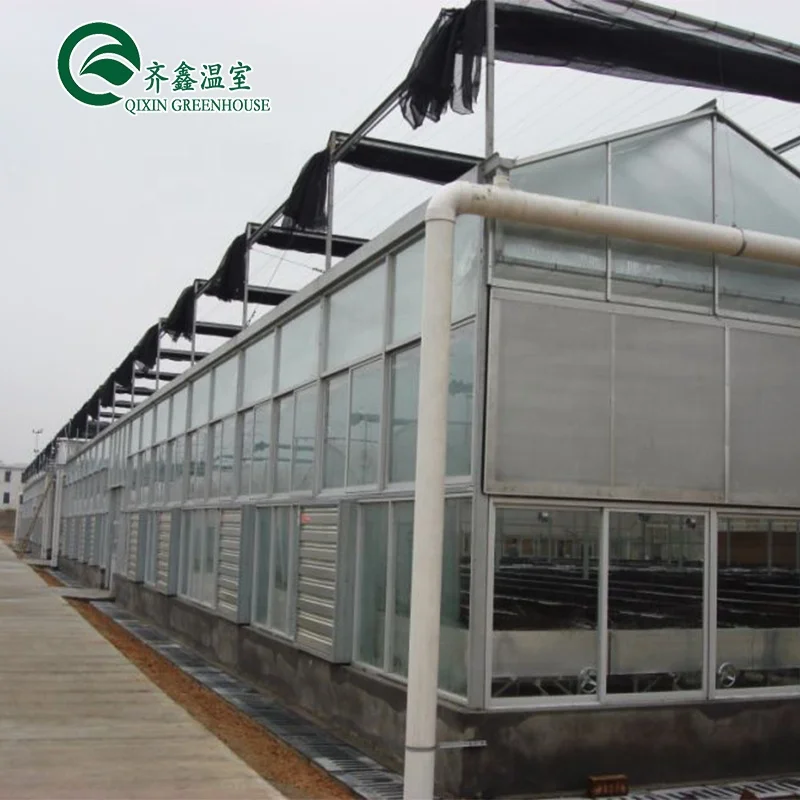 
venlo multispan greenhouse with hydroponic system 