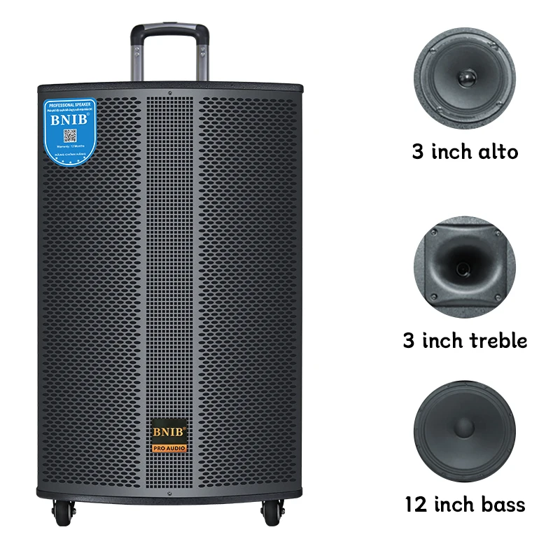 12 Inch Home Theatre System karaoke Bluetooth Speaker Subwoofer Sound Box trolley Speaker
