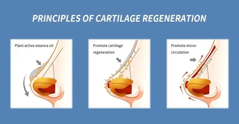 OEM Skin Care Serum Moisturizing Nose Beauty Care Repair Essence Oil Tightening Nose Lift Up Essential Oil