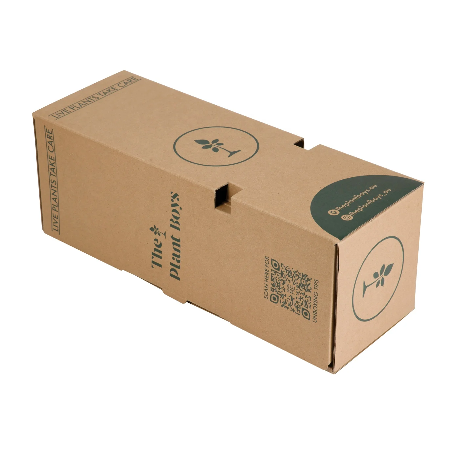 Hot-sale Popular Corrugated Foldable Cardboard Plant Shipping Box Floral Delivery Transport Boxes for Plant