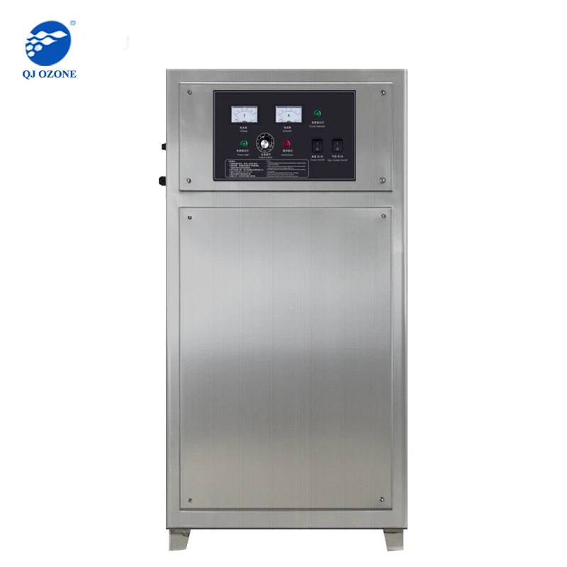 Professional Ozone Machine 60g For Odor Remove Water Purification