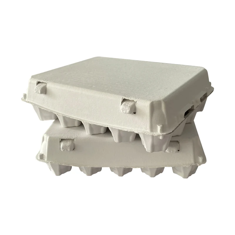 ZY Paper Egg Carton Chicken cell Pulp Fiber Carrier Tray Holder Bulk Hold 20 Count Eggs Farm Market Travel Egg Storage Container