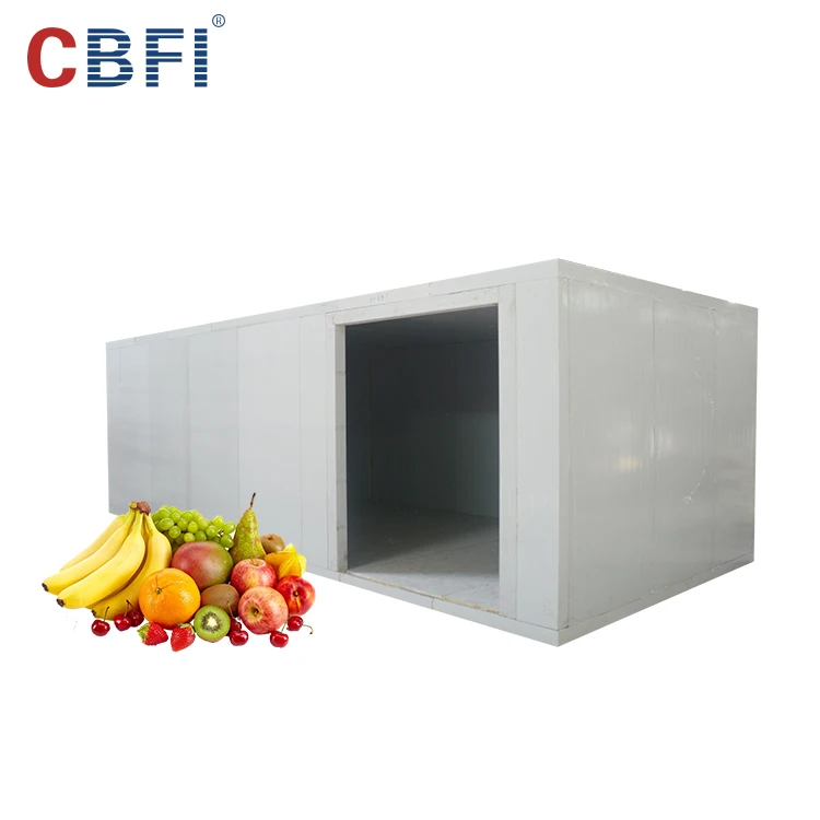 Hot selling Cold Storage Cold Room Cooling System , Blast freezer Room For Meat And Fish