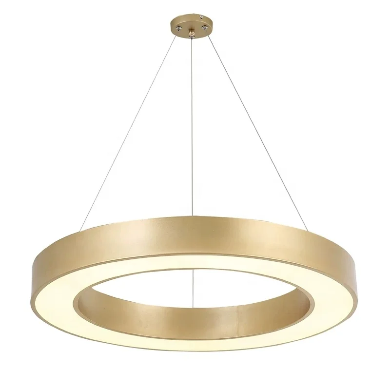 Mean Well DALI Dimmable LED Chandelier Modern Circle Pendant Lamp for Home Office Hotel Store Popular Lighting Design