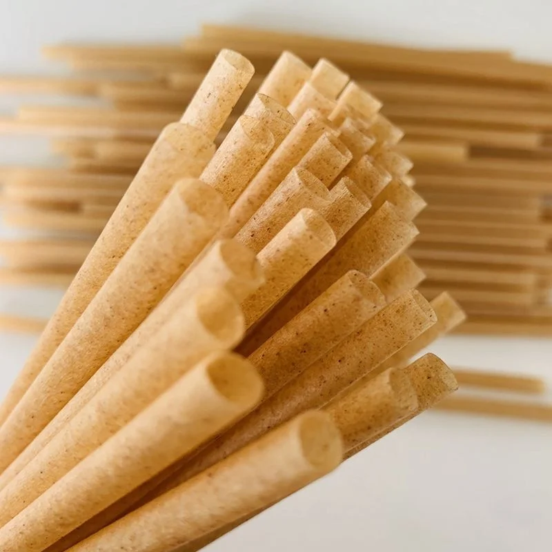 Reusable Natural Organic Eco Friendly Drinking Straw Sugarcane Straws