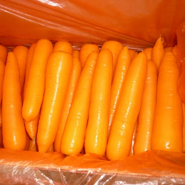 Новый урожай свежих овощей, оптовая продажа, семена моркови, свежая морковка, цена за тонну 2021 от экспортера моркови