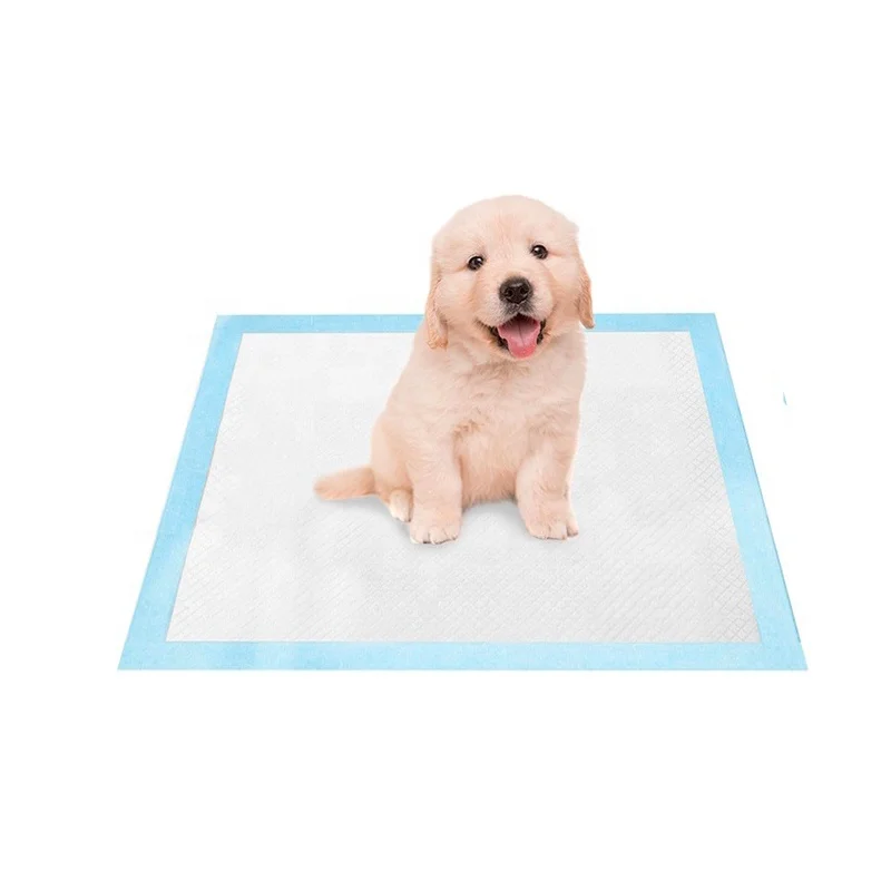 OEM hot selling disposable pet diaper puppy dog training toilet pads