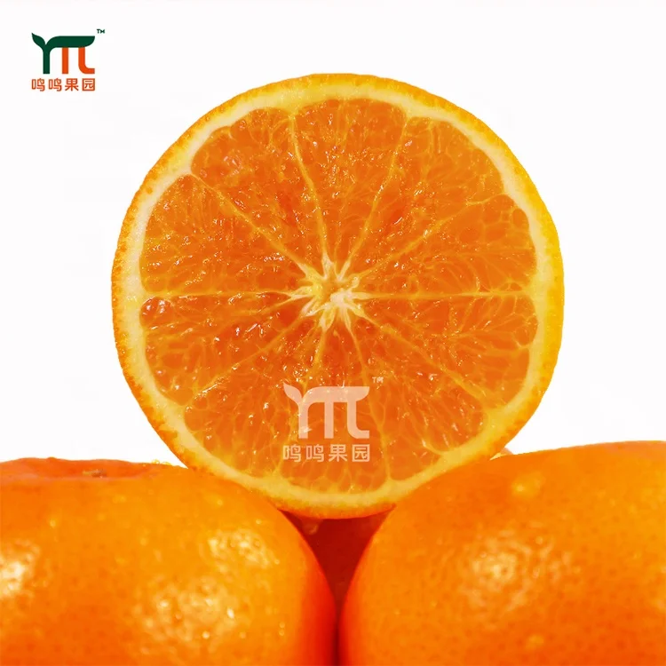 
2020 New Style Yellow Orange Natural Fresh Orange Fruit 