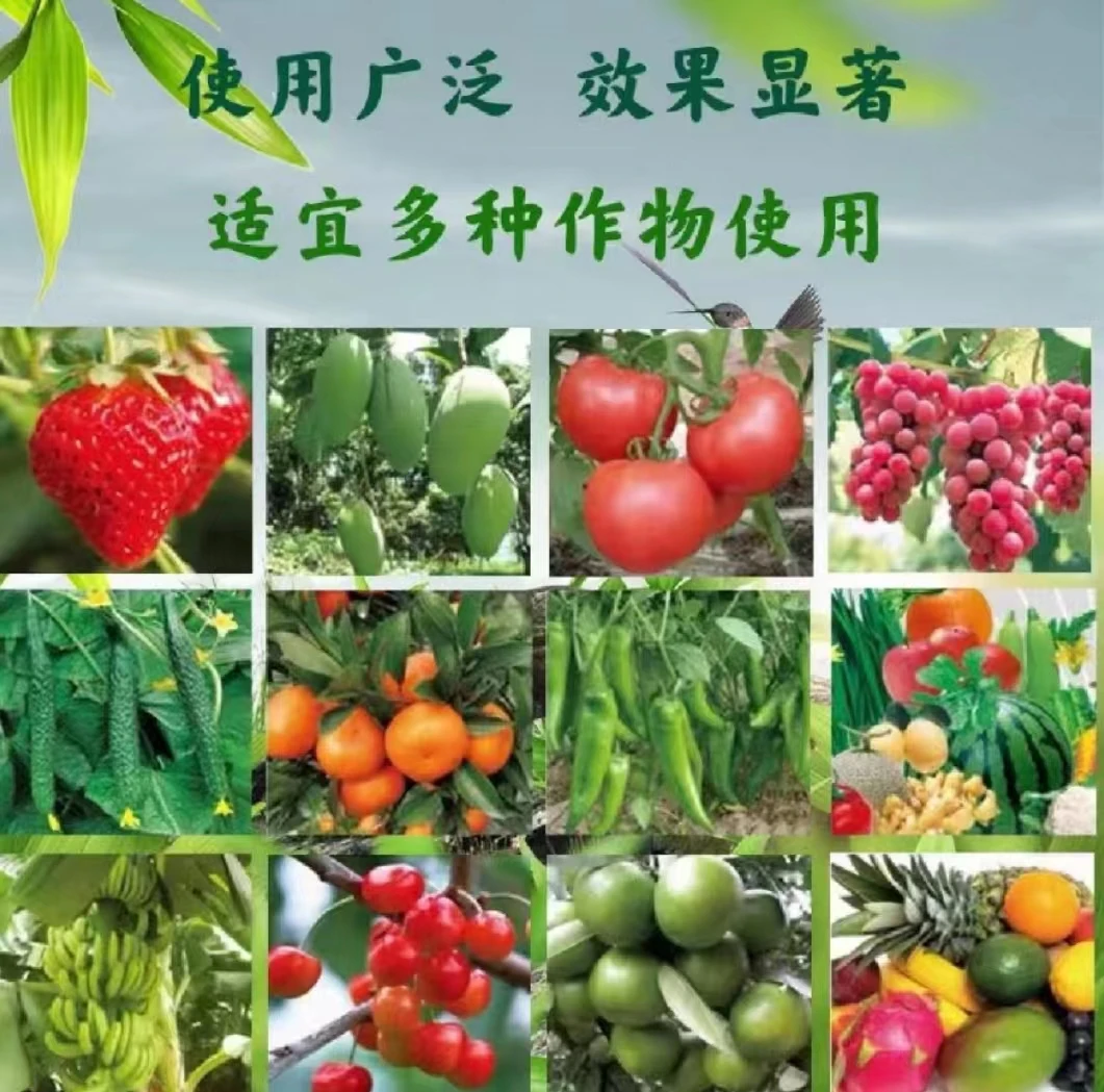soil conditioner        Biological organic fertilizer        Factory direct sale