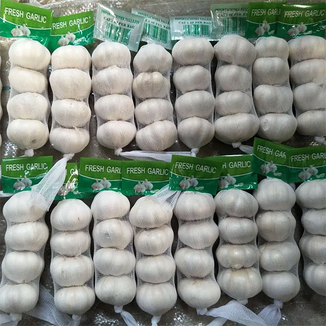 4.5cm 5.0cm 5.5cm 6.0cm Chinese Fresh Garlic Dried China Pure White Normal White Vegetables Garlic Small Packing For Export