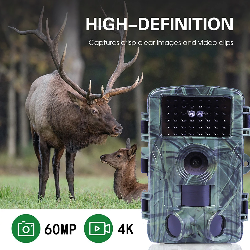 Мини-охотничья камера с экраном 4K 60Mp Охотничья ночная съемка и функция записи Cmos