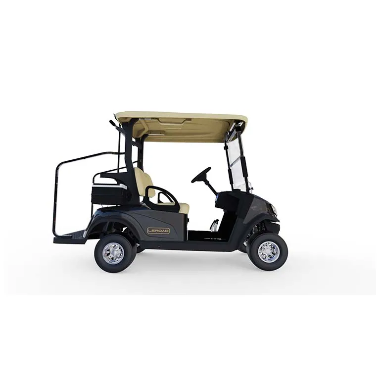 2-местный переменного тока 48V гольф-кары