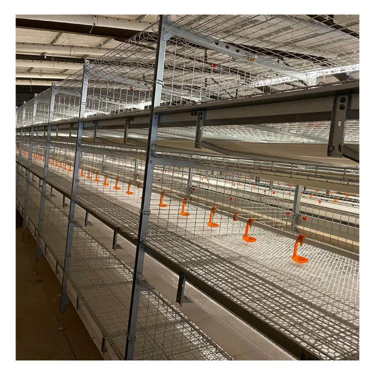 Chicken Farm Large Automatic H Type Meat Broiler Battery Chicken Cage Poultry Equipment For broilers