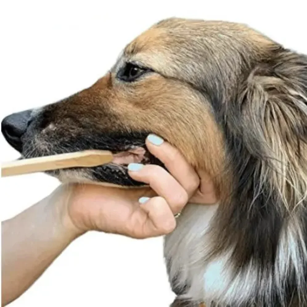 Eco-friendly Zero Waste 100% Biodegradable Double Side Bamboo Pet Toothbrush Dog Toothbrush Cat Toothbrush