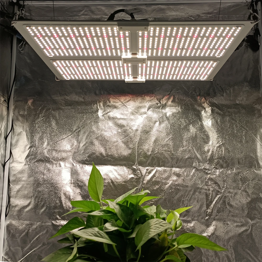 120W 240W 480W Yastar Samsung LM301B Full Spectrum LED Horticulture Grow Light