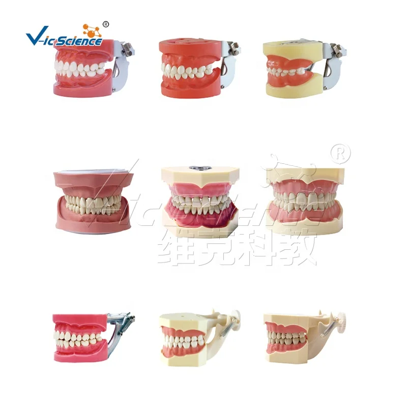 Stainless Steel Carvers for Special Dental Practice School Education