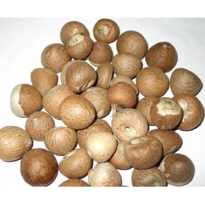 Хит продаж, орехи Betel, размер 70/75 из Индонезии по лучшей цене, оптовая цена, сырые сушеные орехи Betel из Индонезии, орехи Areca