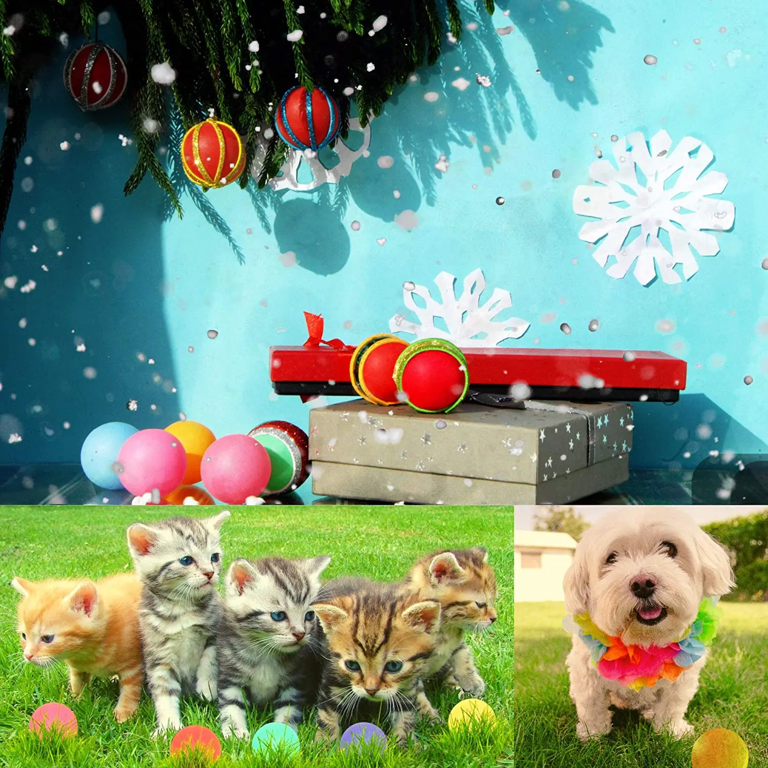 Custom Multi Colored Table Tennis Pingpong Balls Plastic 40mm Ping pong Balls Drinking Game Beer Pong Balls Wholesale