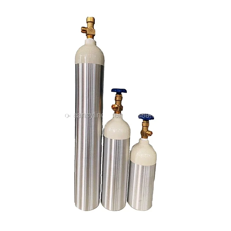 Hospital 10L Oxygen Portable Cylinder Manufacturer