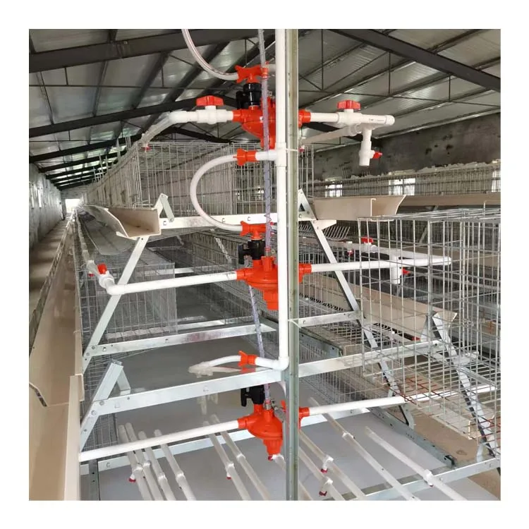 Фабрика по производству Куриного оборудования предлагает полный спектр разведения слоев и программ для бройлеров