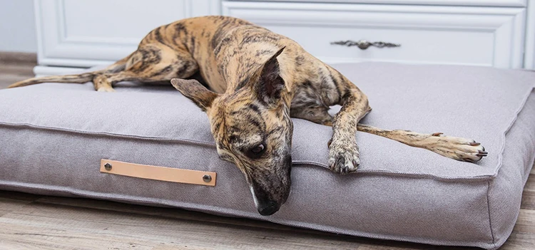 Superior Premium Pet Bed Large Cooling Washable Removable Dog Bed Cushion Mat for Summer